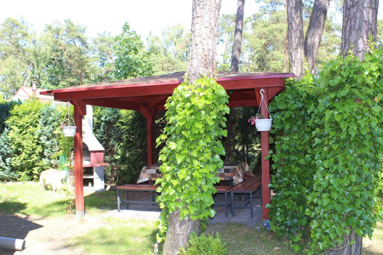 Dom Pod Sosnami Acomodação com café da manhã Mielno  Exterior foto